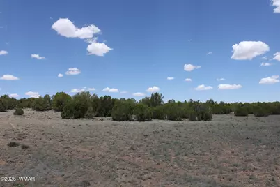 Tbd N8190, Concho, AZ 85924 - Photo 9