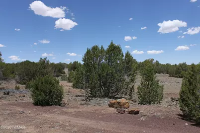 Tbd N8190, Concho, AZ 85924 - Photo 11
