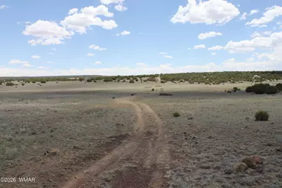 Tbd N8190, Concho, AZ 85924 - Photo 5