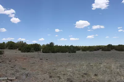 Tbd N8190, Concho, AZ 85924 - Photo 7