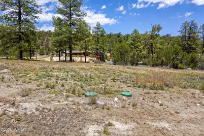3326 Black Canyon Road, Heber, AZ 85928 - Photo 15