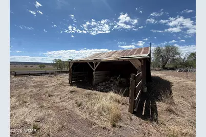 704 S Voigt Street, Springerville, AZ 85938 - Photo 21
