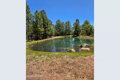 731 S Barberry Lane, Show Low, AZ 85901 - Photo 1