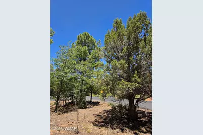 731 S Barberry Lane, Show Low, AZ 85901 - Photo 5