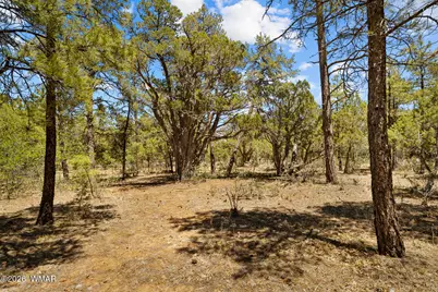 731 S Barberry Lane, Show Low, AZ 85901 - Photo 3