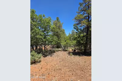 731 S Barberry Lane, Show Low, AZ 85901 - Photo 3