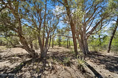 731 S Barberry Lane, Show Low, AZ 85901 - Photo 7