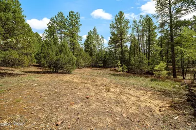 1060 S Hacienda Pines Drive, Show Low, AZ 85901 - Photo 1