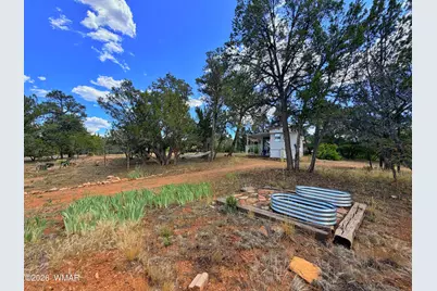 3405 Buckhorn Bend Road, Overgaard, AZ 85933 - Photo 13