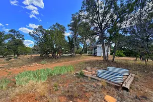 3405 Buckhorn Bend Rd, Overgaard, AZ 85933 - Photo 13