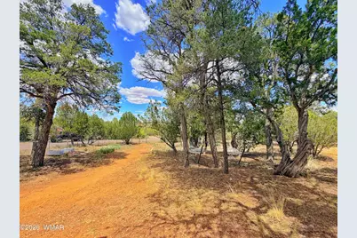 3405 Buckhorn Bend Road, Overgaard, AZ 85933 - Photo 11