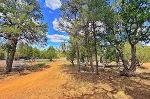 3405 Buckhorn Bend Rd, Overgaard, AZ 85933 - Photo 11