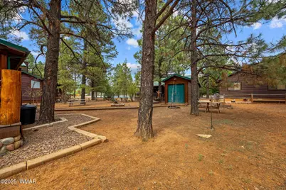 2702 Palomino Trail, Overgaard, AZ 85933 - Photo 29