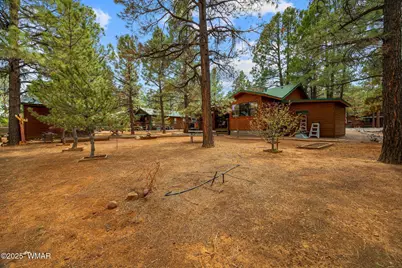 2702 Palomino Trail, Overgaard, AZ 85933 - Photo 27