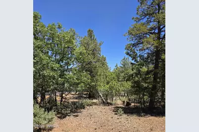 731 S Barberry Lane, Show Low, AZ 85901 - Photo 7