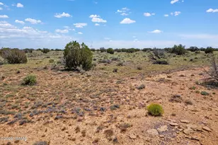 5939 Mesa View Dr, Heber, AZ 85928 - Photo 1