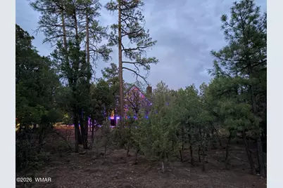 1081 W Sierra Pines Drive, Show Low, AZ 85901 - Photo 69