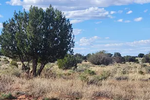 1483 County Rd 5270, Concho, AZ 85924 - Photo 33