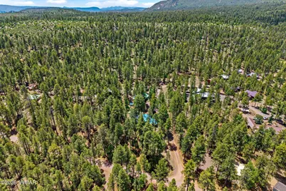 20 County Rd N2120, Alpine, AZ 85920 - Photo 31