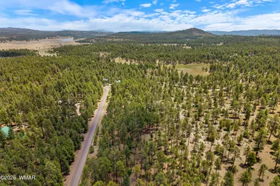 98 County Road 2266, Alpine, AZ 85920 - Photo 13