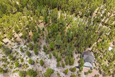 98 County Road 2266, Alpine, AZ 85920 - Photo 17