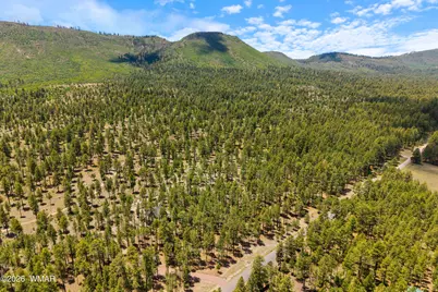 98 County Road 2266, Alpine, AZ 85920 - Photo 11