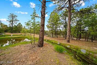 4361 W Shaggy Bark Road, Show Low, AZ 85901 - Photo 17
