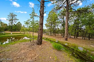 4361 W Shaggy Bark Rd, Show Low, AZ 85901 - Photo 17