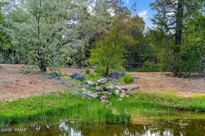 4361 W Shaggy Bark Road, Show Low, AZ 85901 - Photo 73