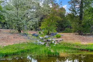 4361 W Shaggy Bark Rd, Show Low, AZ 85901 - Photo 73