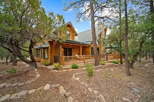 4361 W Shaggy Bark Rd, Show Low, AZ 85901 - Photo 67