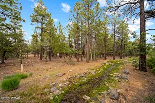 4361 W Shaggy Bark Rd, Show Low, AZ 85901 - Photo 77