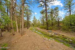 4361 W Shaggy Bark Rd, Show Low, AZ 85901 - Photo 21