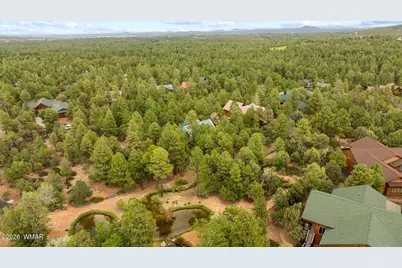 4361 W Shaggy Bark Road, Show Low, AZ 85901 - Photo 87