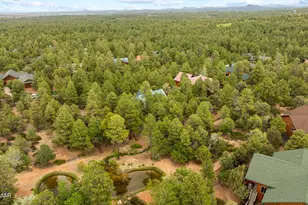 4361 W Shaggy Bark Rd, Show Low, AZ 85901 - Photo 87