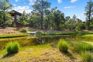 4361 W Shaggy Bark Rd, Show Low, AZ 85901 - Photo 71