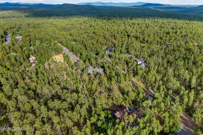 2732 Pine Wood Lane, Pinetop, AZ 85935 - Photo 49