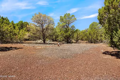 156 County Road 3158, Vernon, AZ 85940 - Photo 39