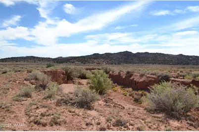 Lots 18,19 N8577 Road, Concho, AZ 85924 - Photo 1