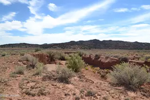 Lots 18 19 N8577 Rd, Concho, AZ 85924 - Photo 1