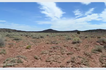 Lots 18,19 N8577 Road, Concho, AZ 85924 - Photo 7