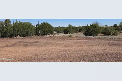 8582 Meyers Place, Show Low, AZ 85901 - Photo 9