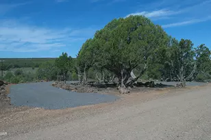 8285 Ridge Dr, Show Low, AZ 85901 - Photo 1