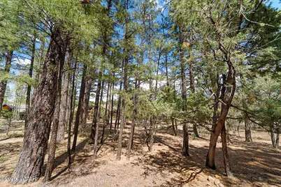 1261 S Spruce Lane, Show Low, AZ 85901 - Photo 45