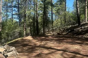 230 W Pine Shadow Dr, Lakeside, AZ 85929 - Photo 1