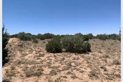 110 Mesa Redondo Ranch Road, Concho, AZ 85924 - Photo 7