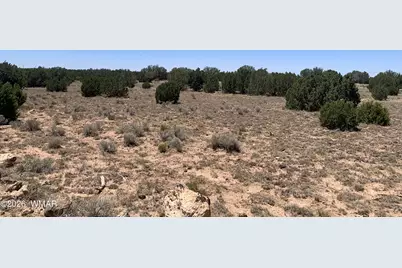 110 Mesa Redondo Ranch Road, Concho, AZ 85924 - Photo 5
