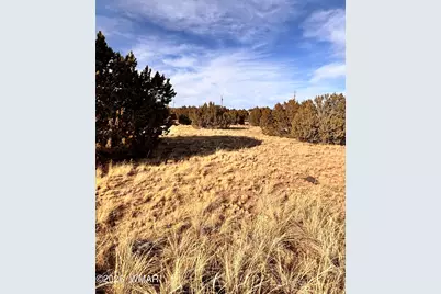 37 Cinder Dr, Concho, AZ 85924 - Photo 5