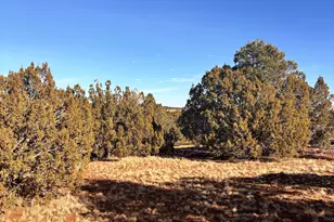 37 Cinder Dr, Concho, AZ 85924 - Photo 1