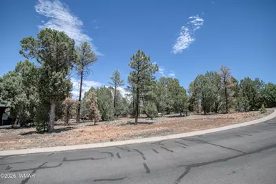 2661 N Eagle View Circle, Show Low, AZ 85901 - Photo 5